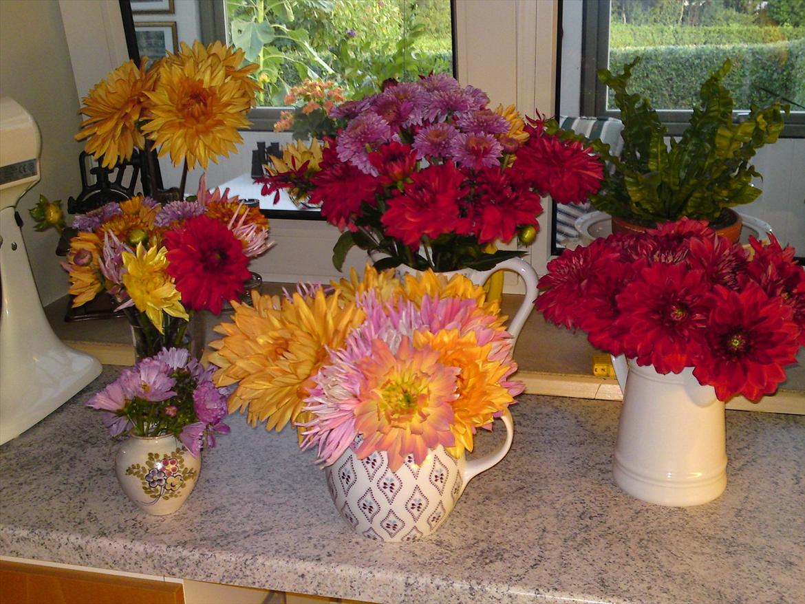 Blomster buketter fra egen have. - Ialt 6 vaser... står rundt i hele huset. billede 9