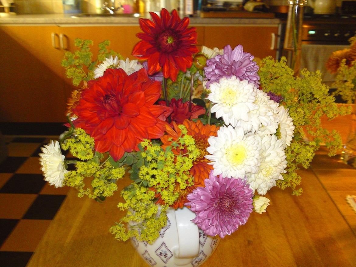 Blomster buketter fra egen have. - Chrysantmum, og Dalia med grønt. billede 1