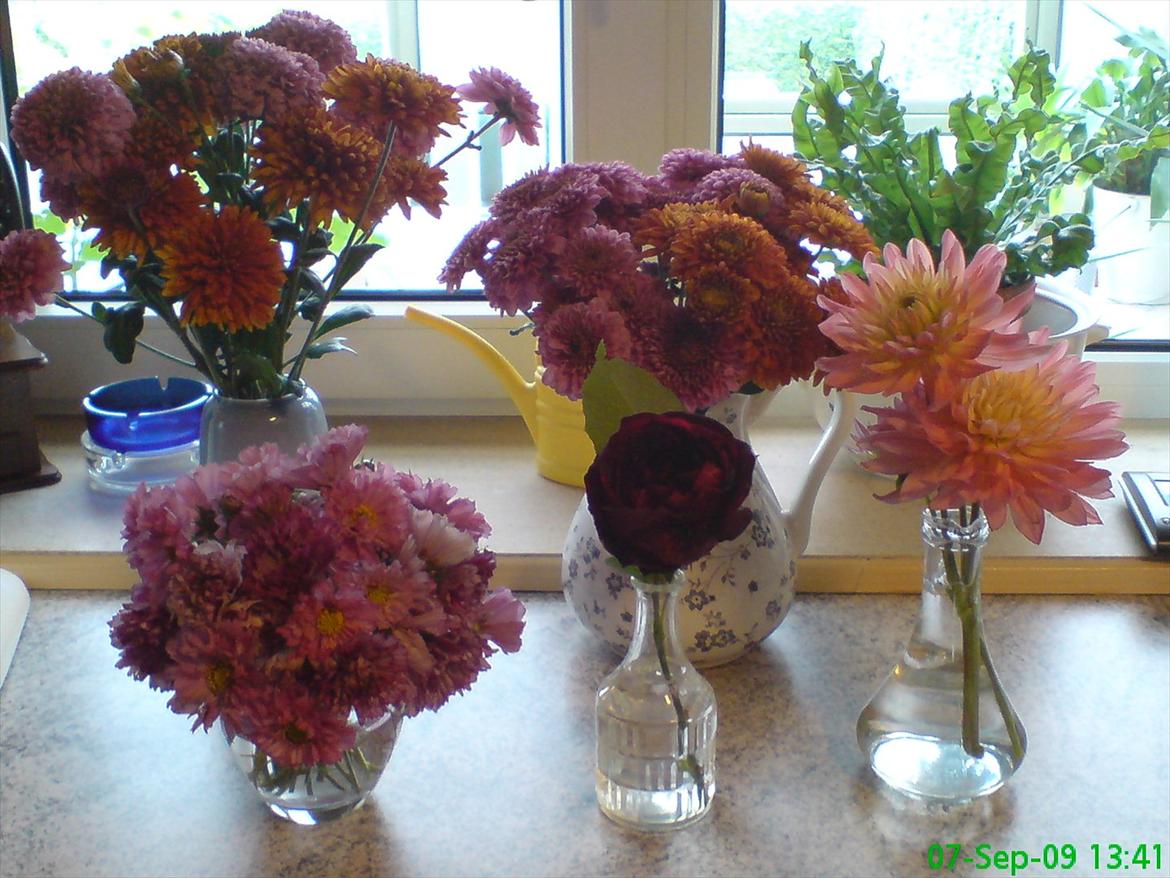 Blomster buketter fra egen have. - 5 vaser klar til at stilles rundt i  huset. billede 10