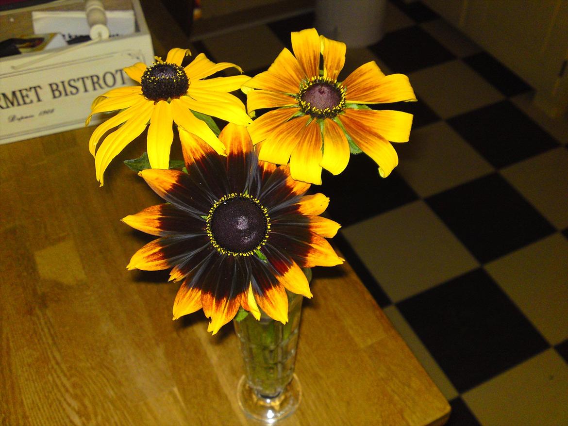 Blomster buketter fra egen have. - Solhat. billede 12