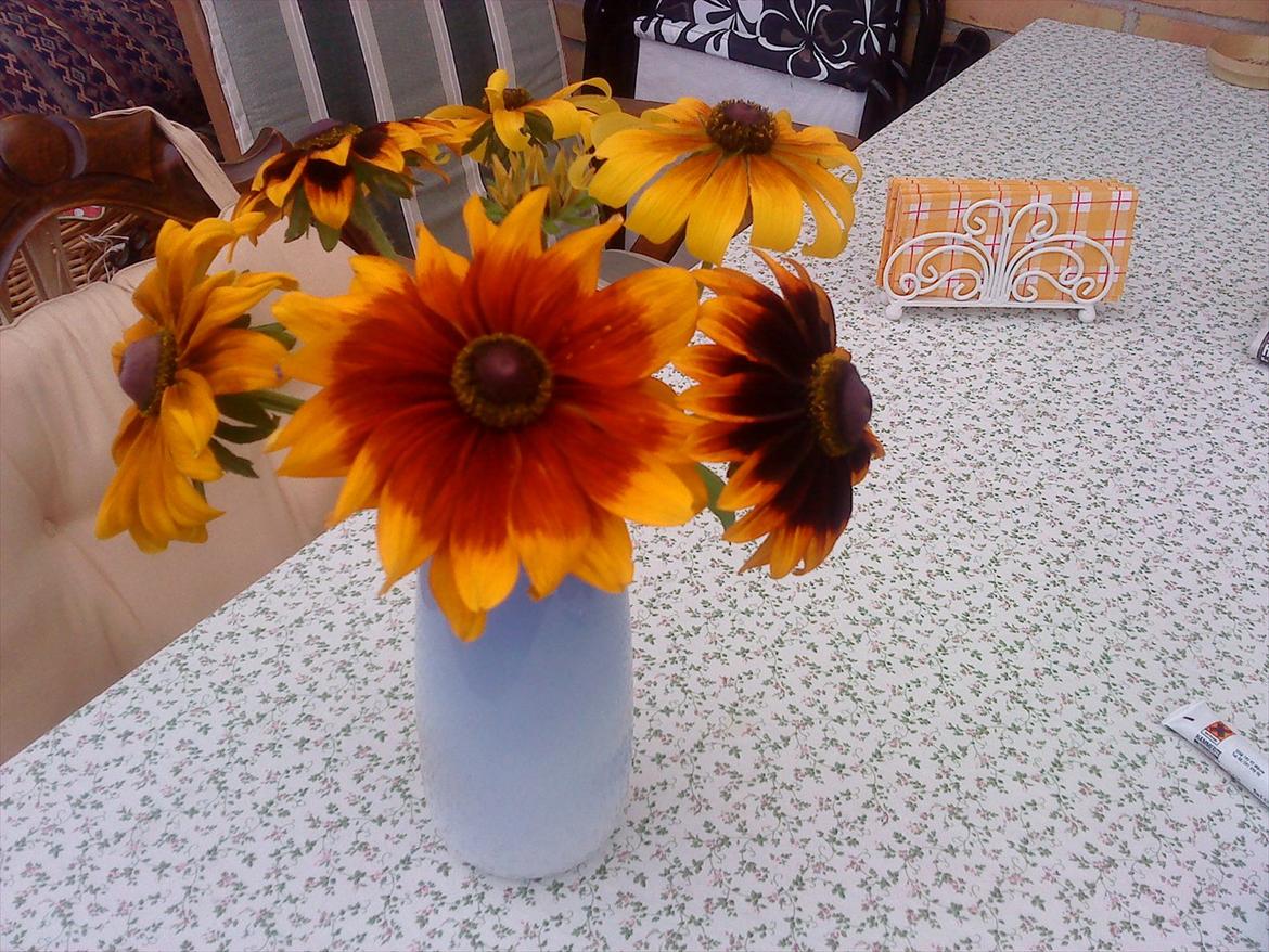 Blomster buketter fra egen have. - Solhat, i en anden sort. billede 13