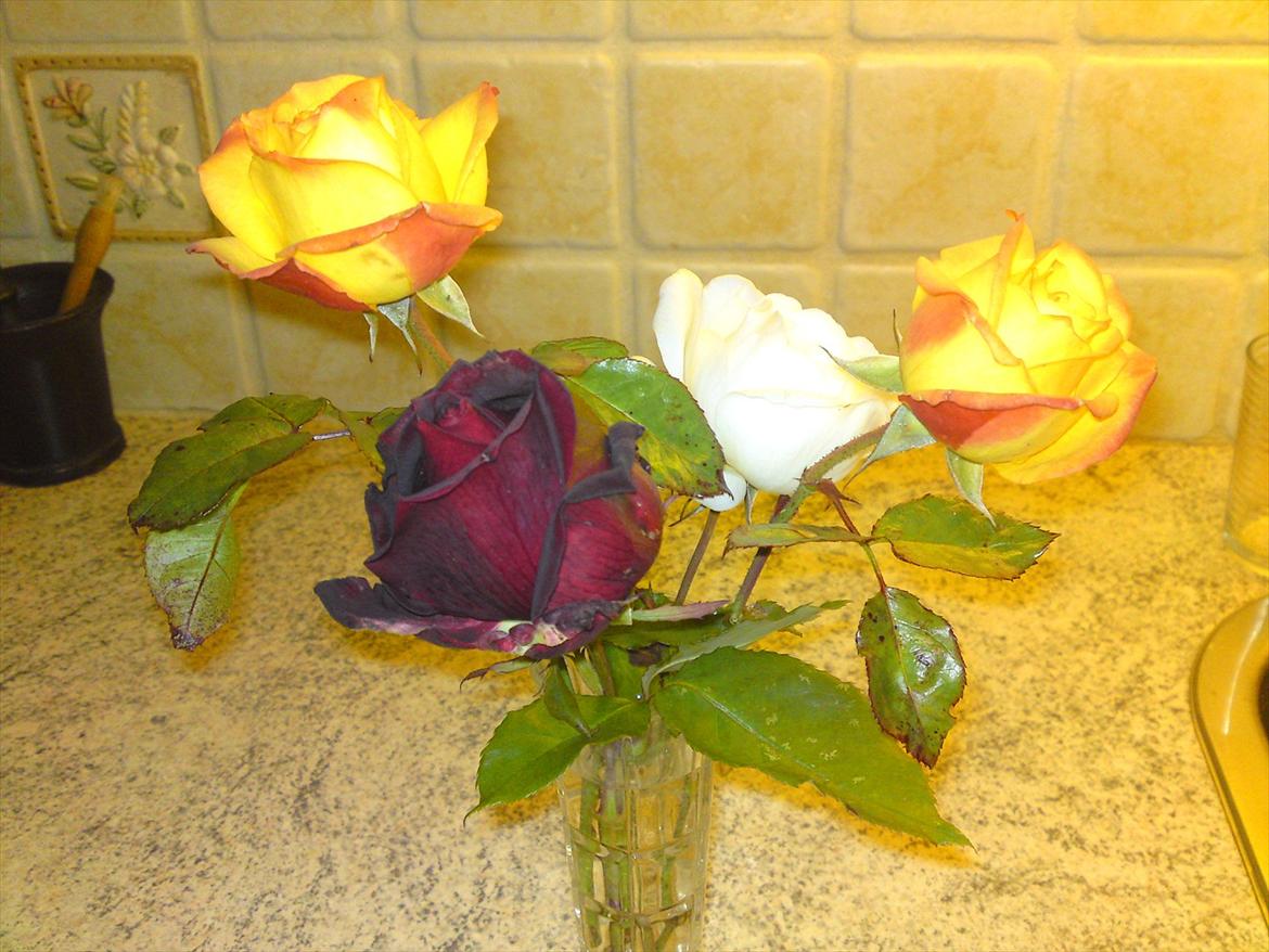 Blomster buketter fra egen have. - Årets sidste roser.... billede 15