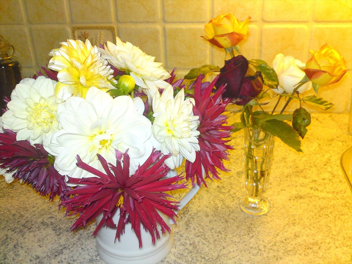 Blomster buketter fra egen have. - Årets sidste roser, og en vase med Dahia. billede 16