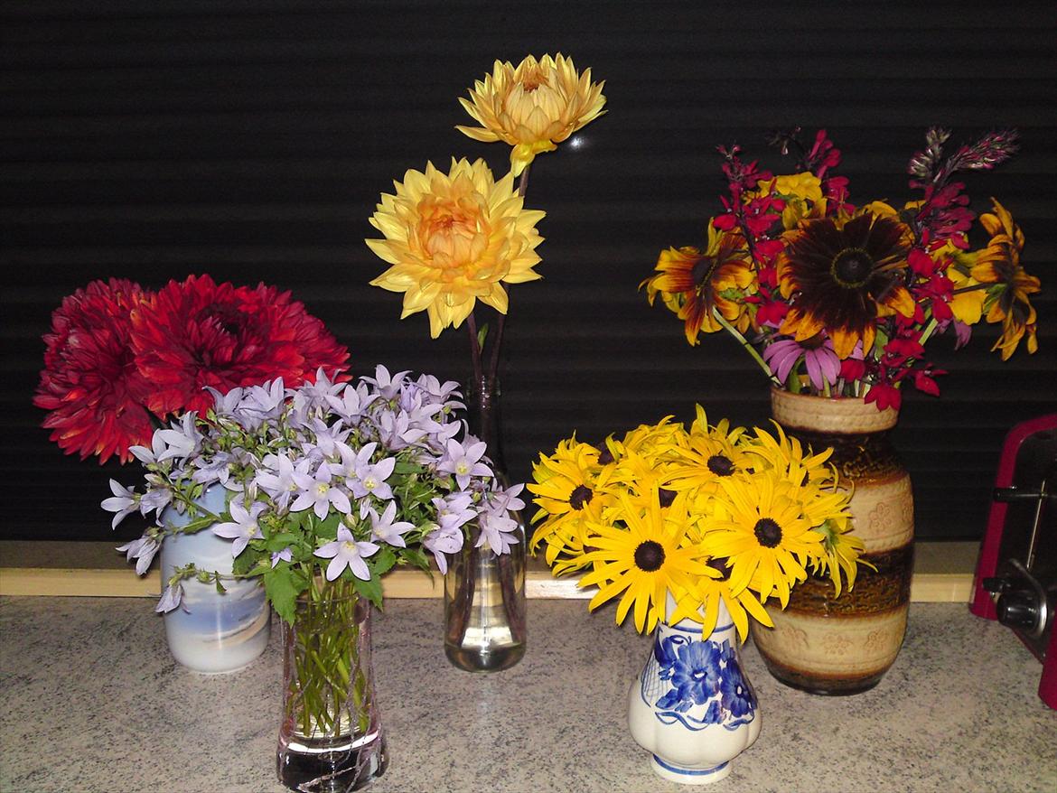 Blomster buketter fra egen have. - Forskellige buketter....Dahlia, Høstfloks, Solhat, og Lobelie. billede 17