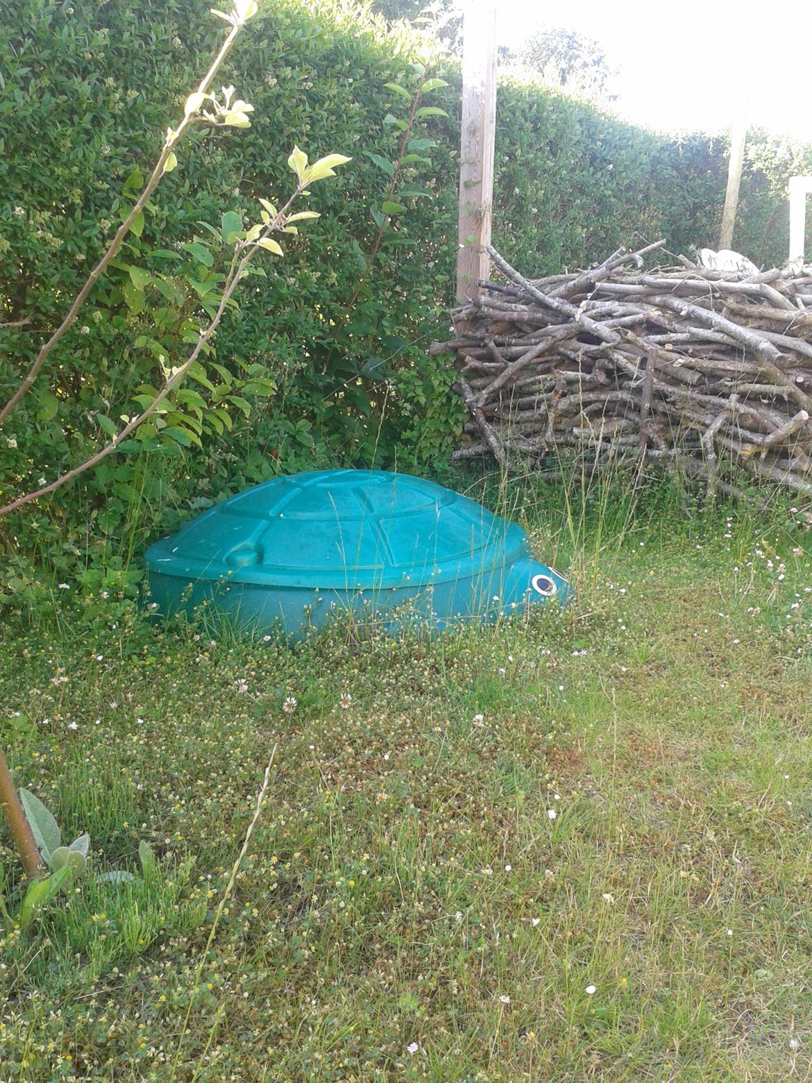 Vilde aspekter af haven - Græsplænen får i høj grad lov til at udvikle sig til eng, hvor den kun bliver slået sjældent og afklippet fjernes. Rundt om terrasen er lavet naturligt hegn billede 45