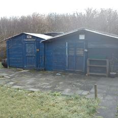 Kolonihave et dejlige sted:)