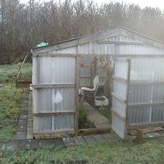 Kolonihave et dejlige sted:)