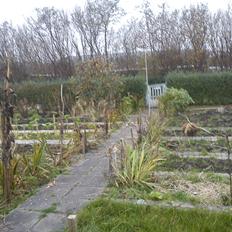 Kolonihave et dejlige sted:)