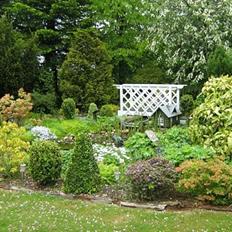 Villa/hushave ca nok.