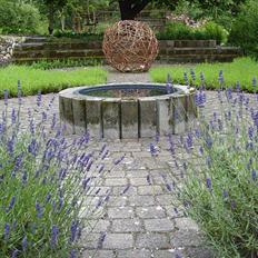 Villa/hushave 20.000 m²