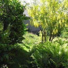 Villa/hushave 1080 m2