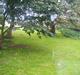 Villa/hushave 1696