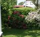 Villa/hushave 645