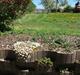 Villa/hushave 1329