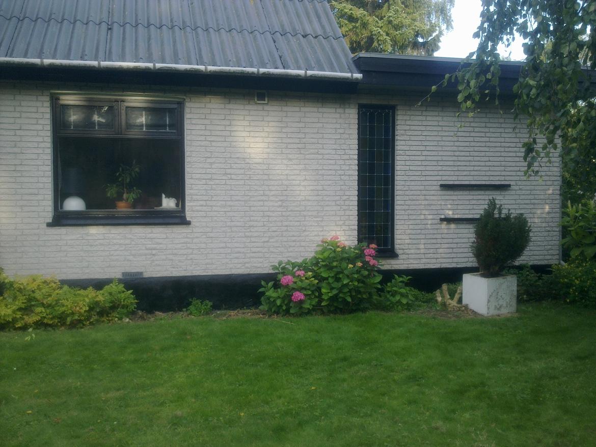 Villa/hushave 855 billede 18