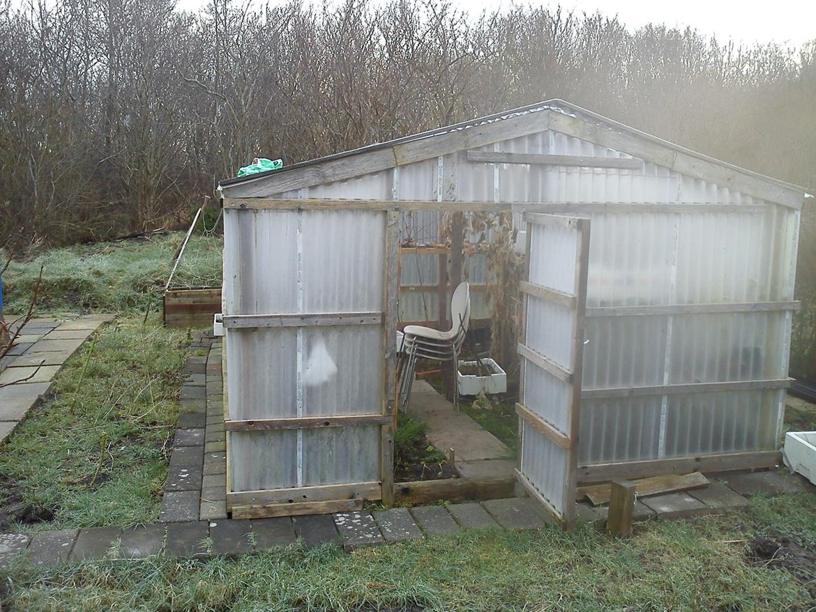 Kolonihave et dejlige sted:) billede 2