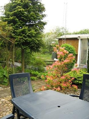 Villa/hushave ca nok. billede 10