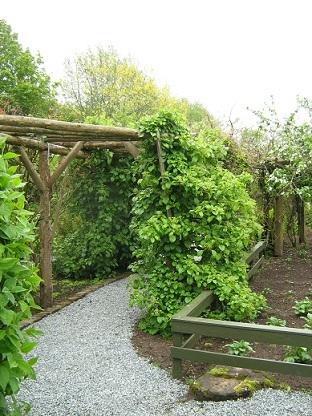 Villa/hushave ca nok. billede 12