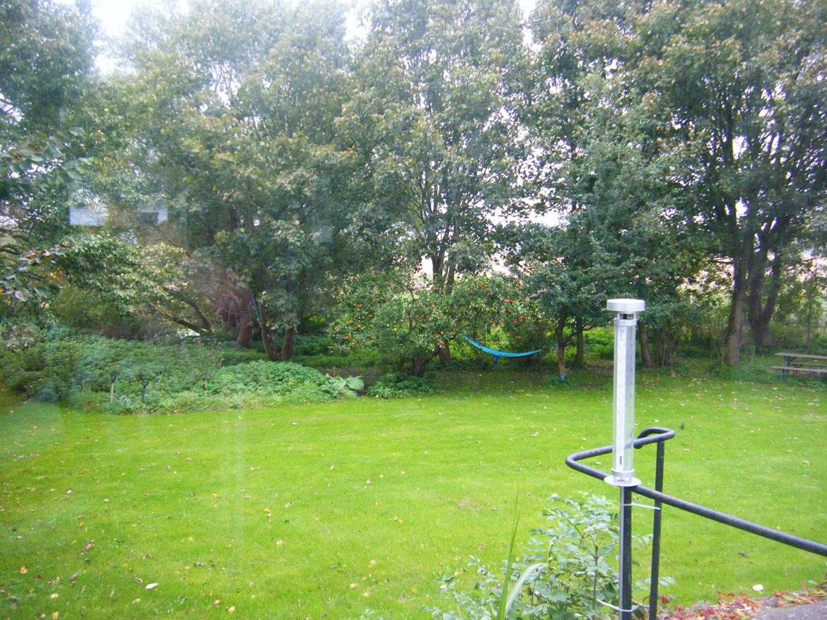 Villa/hushave 1696 billede 11