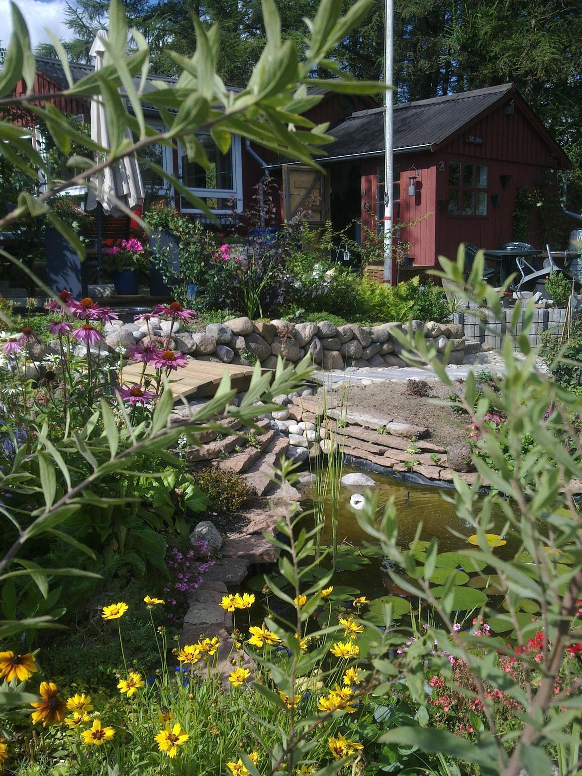 Kolonihave 578 billede 7