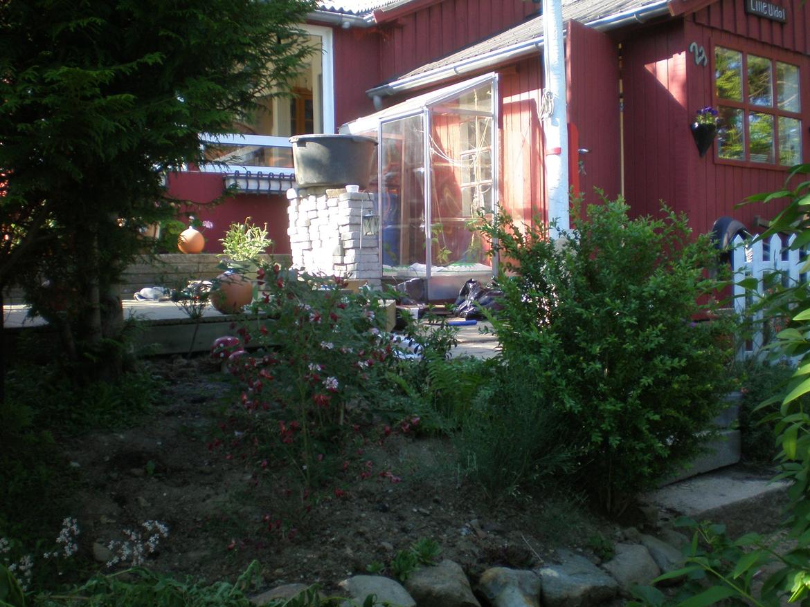 Kolonihave 578 billede 16