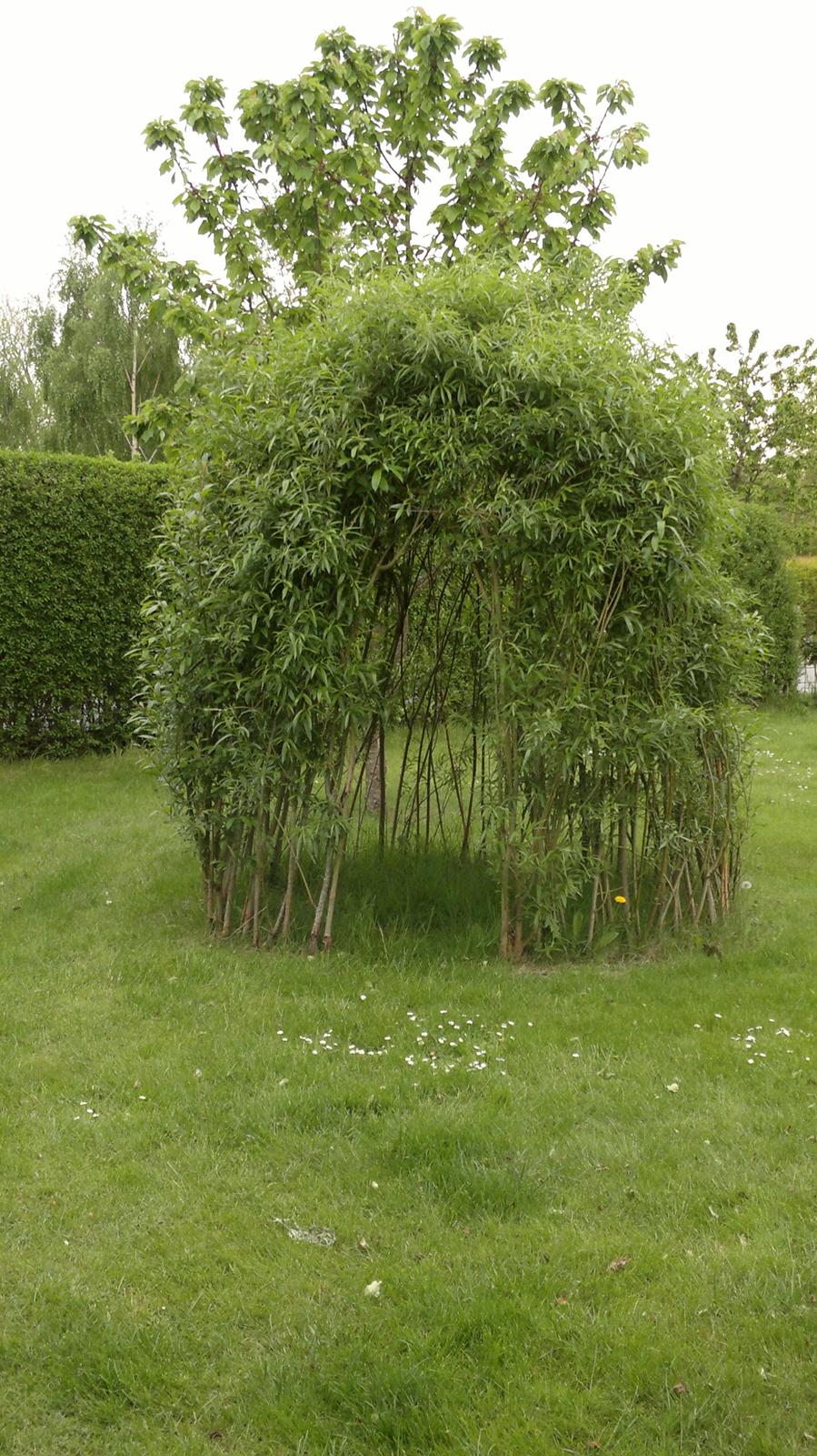 Villa/hushave 700 - Pilehytte billede 12