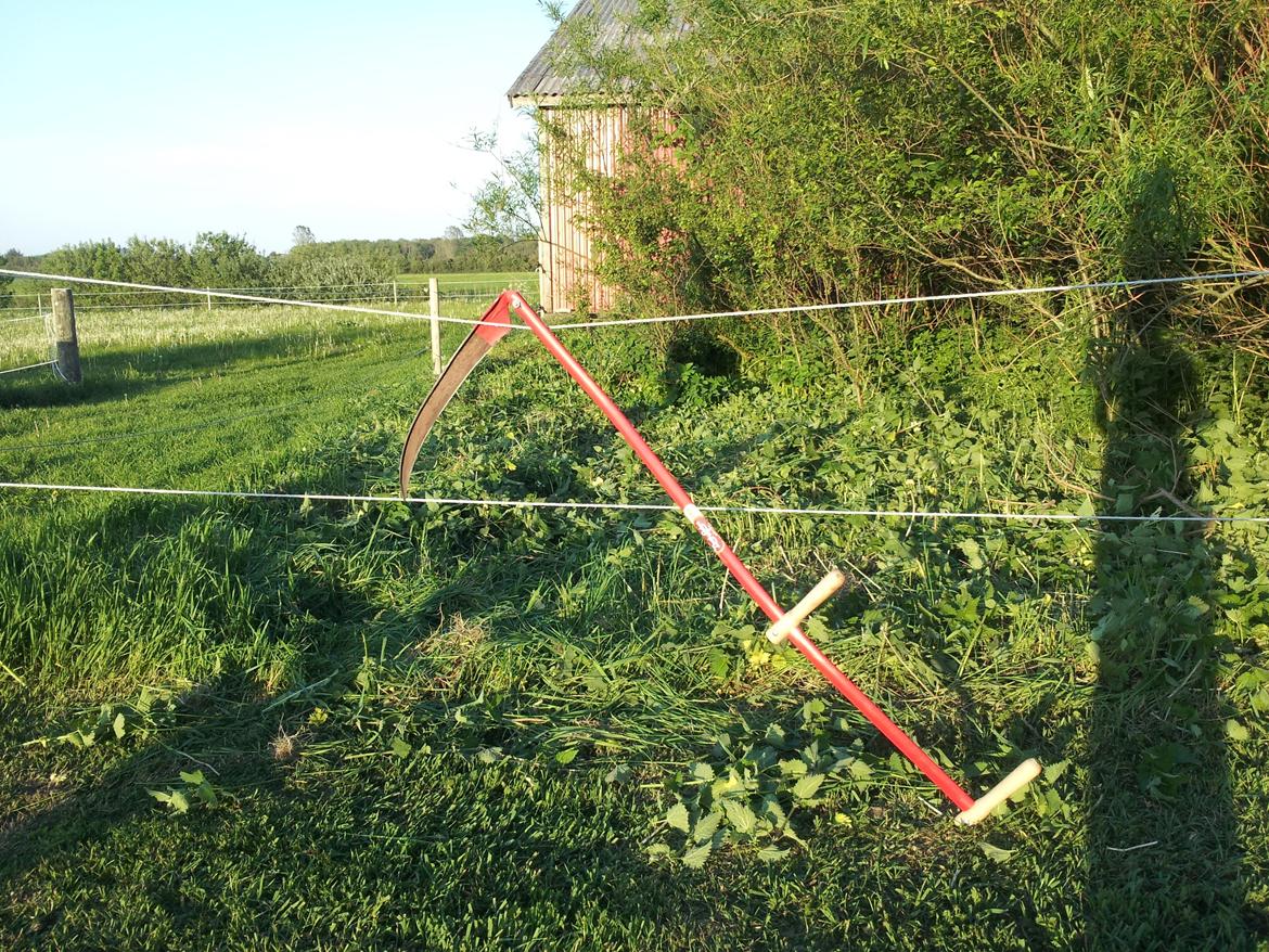 Villa/hushave 15000 m2 - Kanon værktøj mod brændenæller billede 18