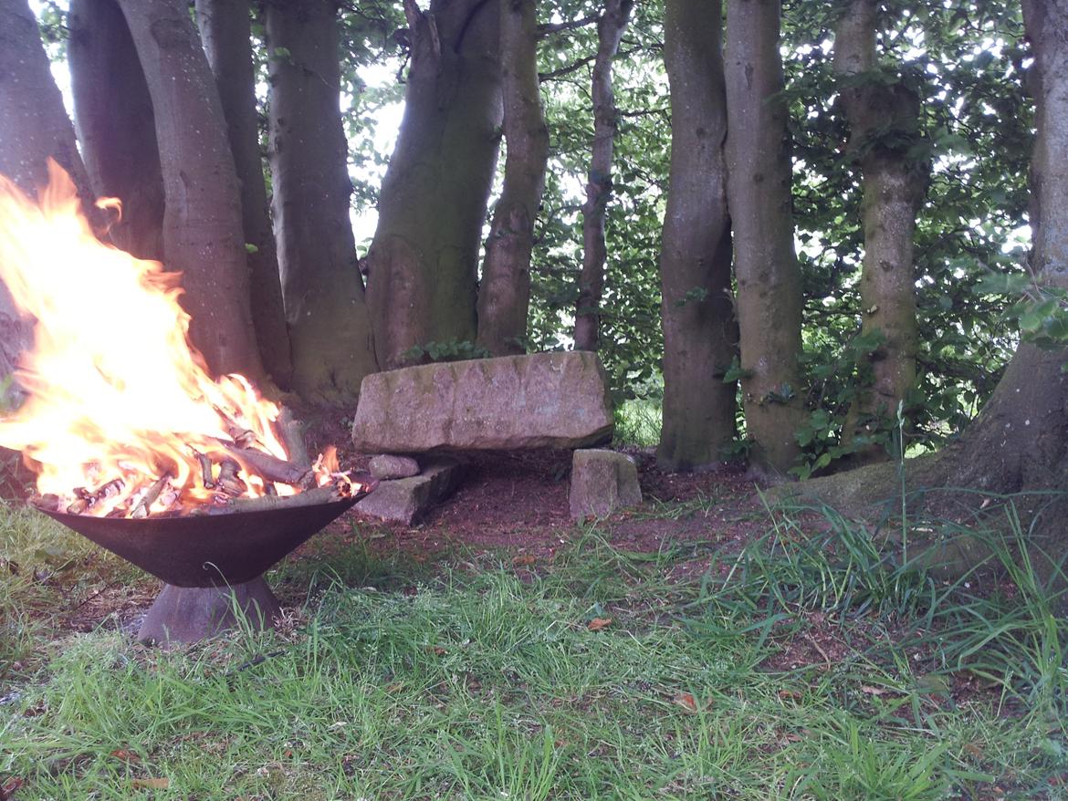 Villa/hushave 15000 m2 - Min hyggekrog :-D Old gamle bøgetræer som danner et U.. Hyggeligt :-D billede 20