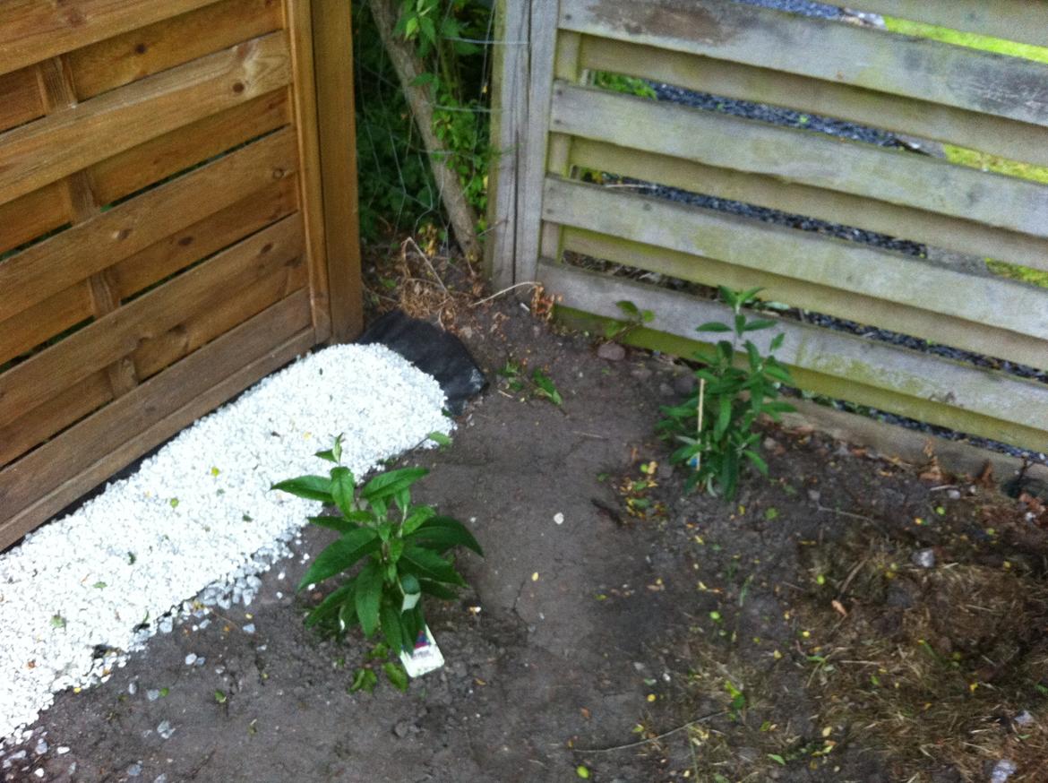 Villa/hushave 80 ca billede 17