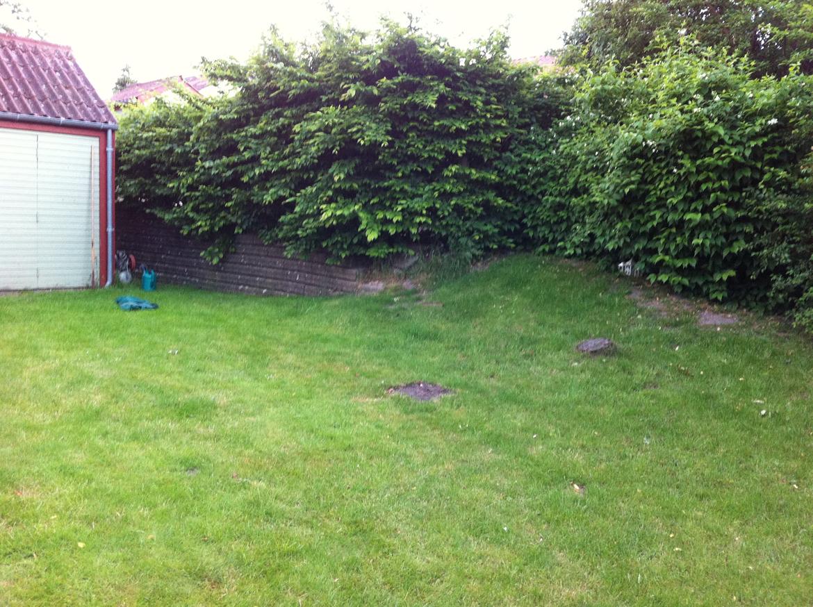 Villa/hushave 80 ca billede 20