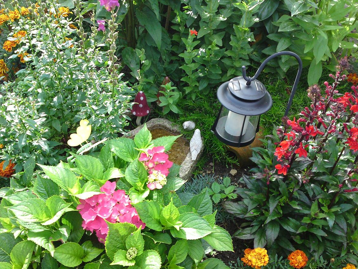 Villa/hushave 50-60 kvm. - En lille plet i haven, med lys, og et fuglebad. billede 9
