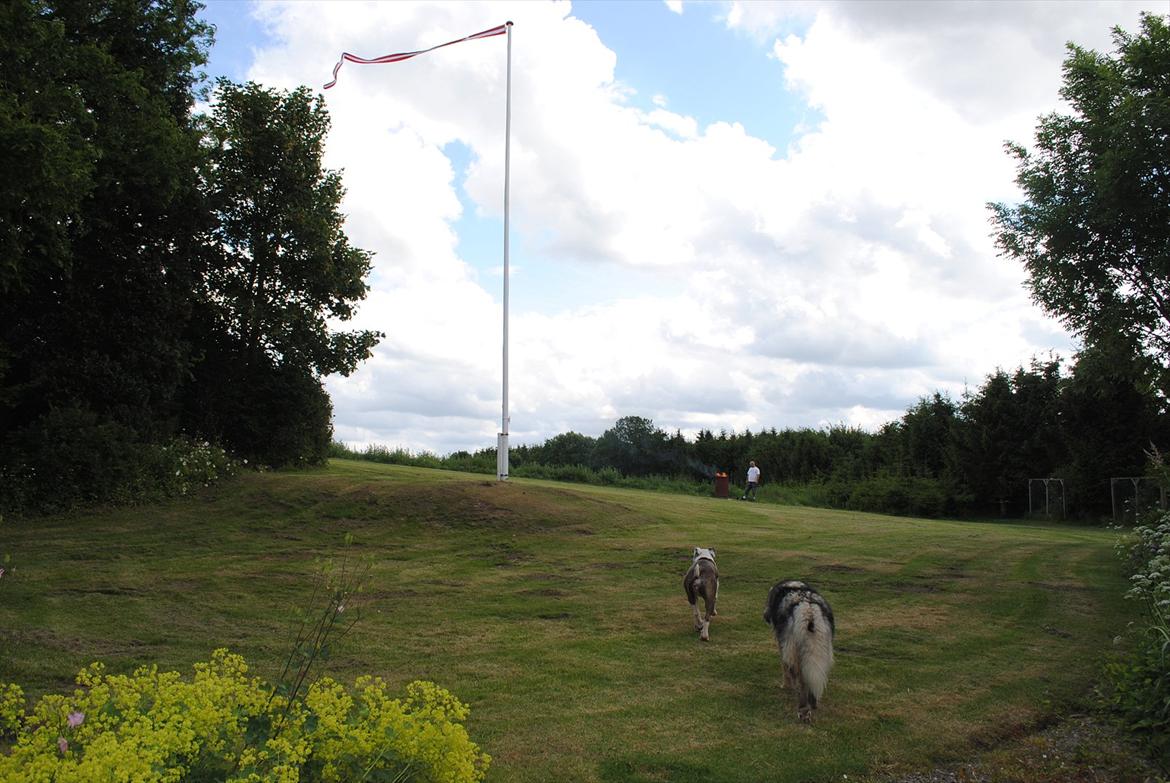 Villa/hushave 3000 billede 2