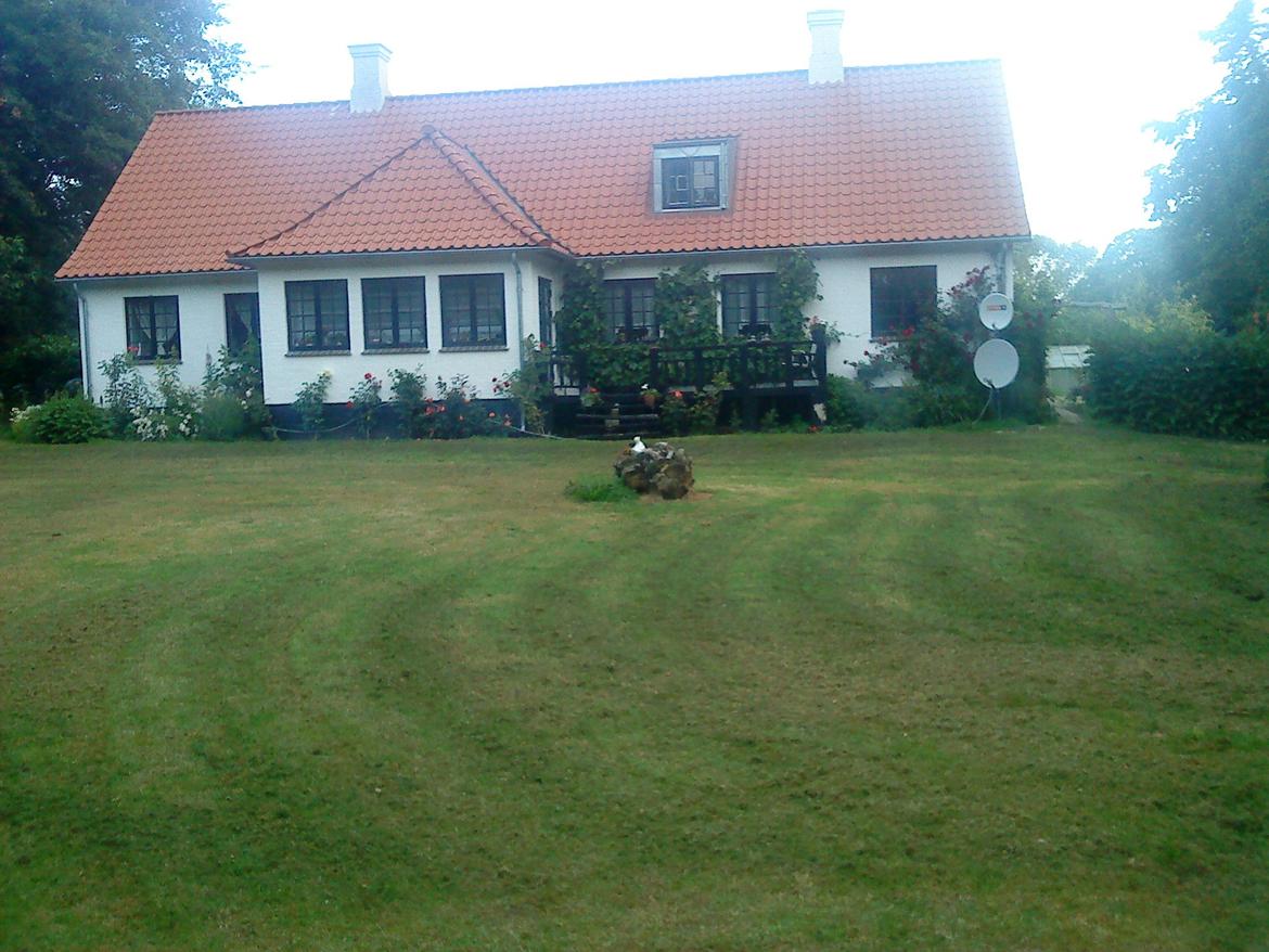 Villa/hushave 1 ha, eller mere - Huset med rosen, set fra have siden af billede 1