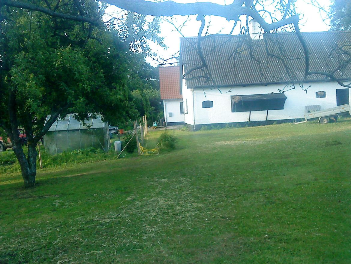 Villa/hushave 1 ha, eller mere - stalden og kig til den lille urtehave billede 9