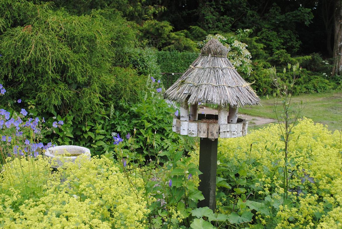 Villa/hushave 3000 billede 1