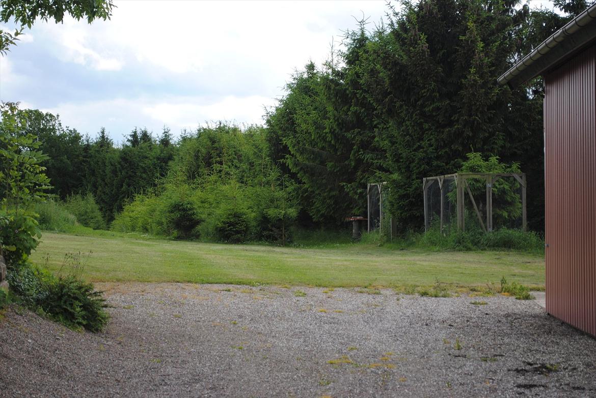 Villa/hushave 3000 billede 11