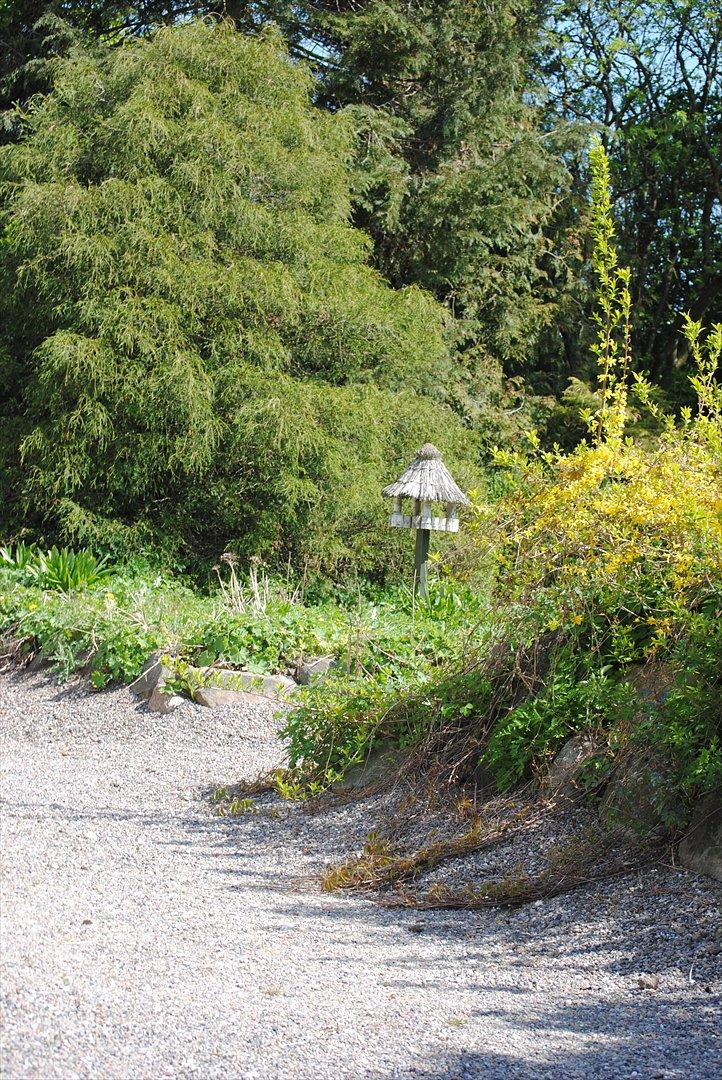 Villa/hushave 3000 billede 14