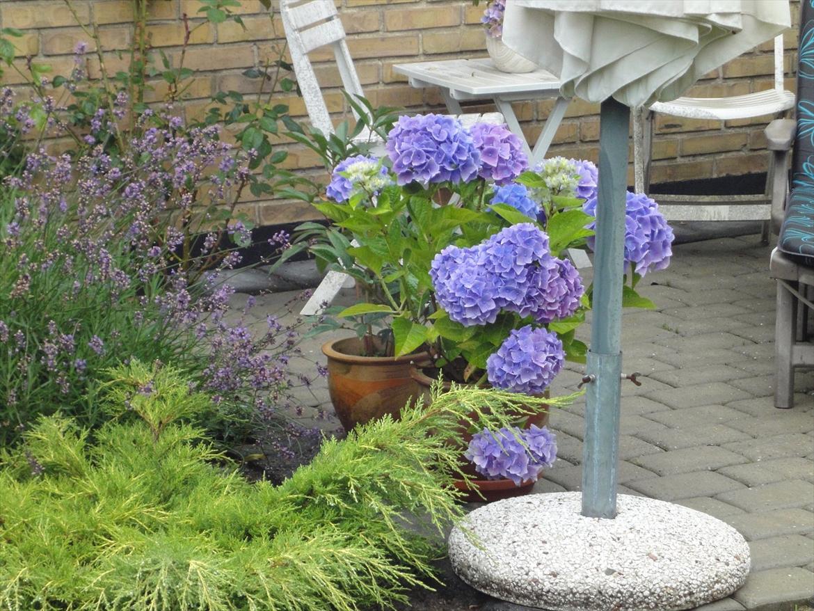 Villa/hushave 1300  billede 12