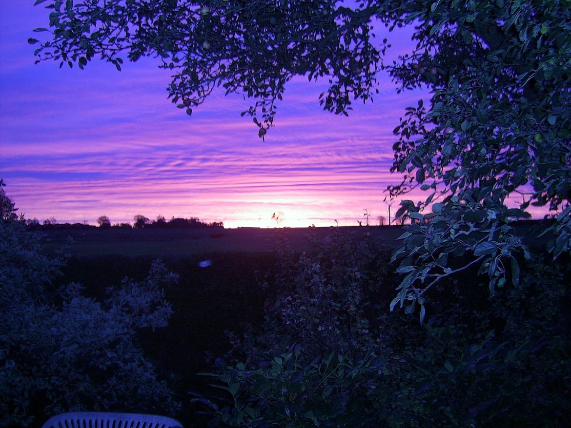 Villa/hushave 1015 - solnedgang over vores have billede 6