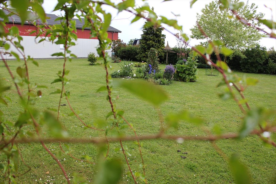 Villa/hushave ca.2000m2  billede 5