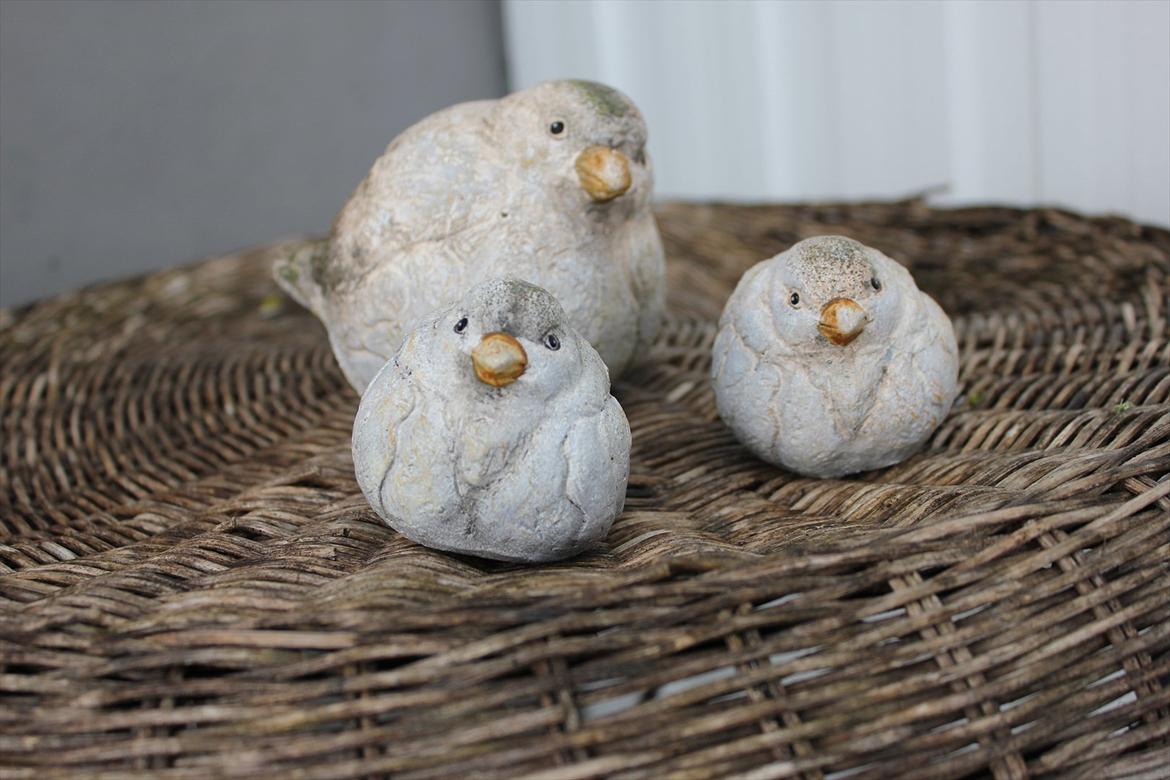 Villa/hushave ca.2000m2  billede 10