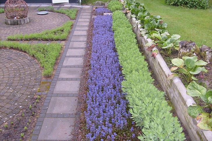 Villa/hushave 20.000 m² billede 3