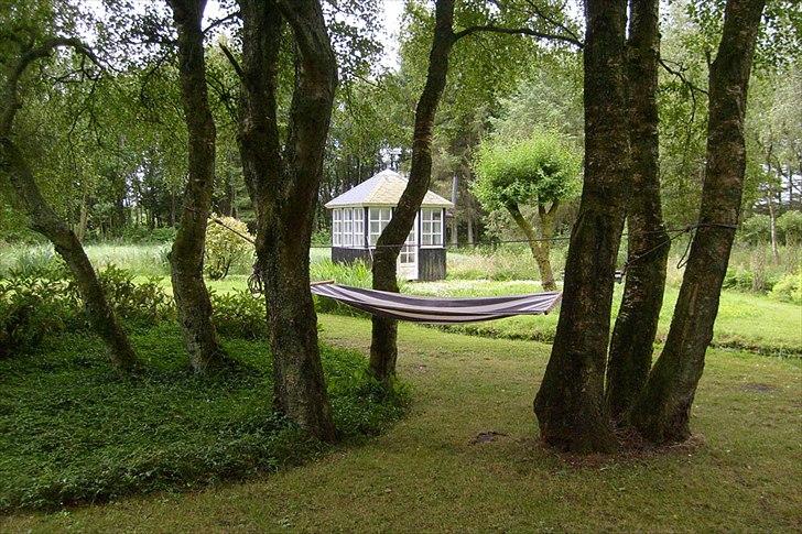 Villa/hushave 20.000 m² - Hængekøje i birketræerne ved søen. I baggrunden ses havehuset. billede 11