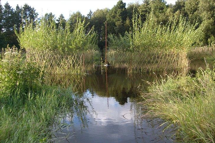 Villa/hushave 20.000 m² - Den flettede pilecirkel på engen er oversvømmet efter et skybrud i august 2010. billede 14