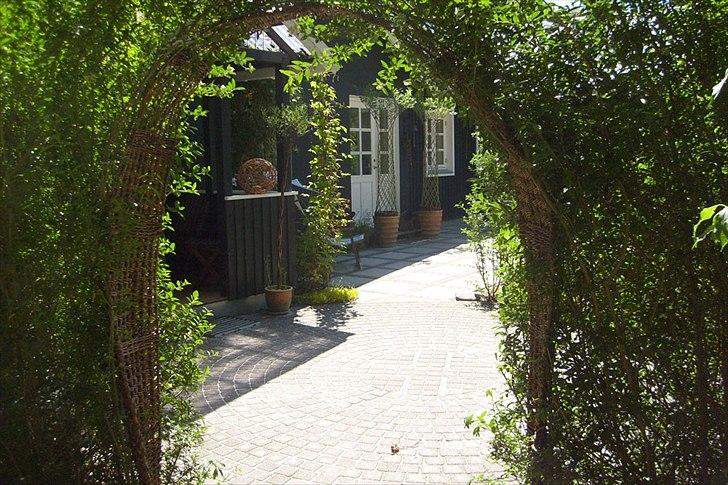 Villa/hushave 20.000 m² billede 9