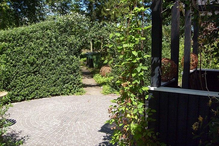 Villa/hushave 20.000 m² billede 8