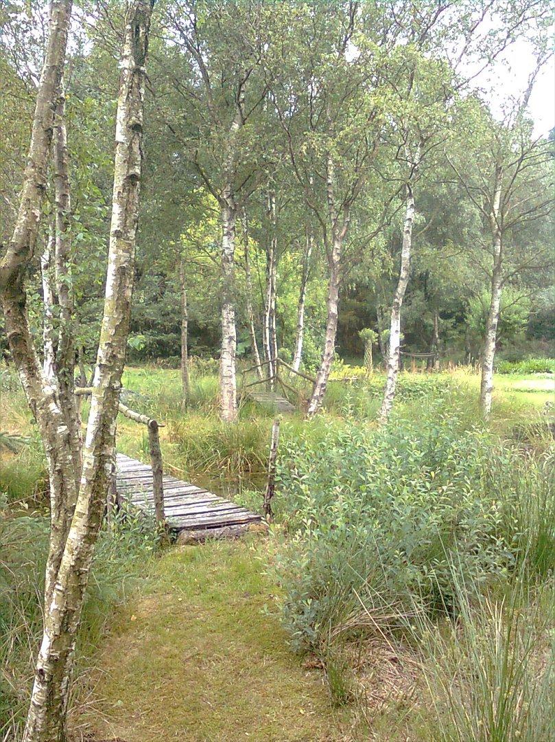 Villa/hushave 20.000 m² - Broer ved søen. billede 13