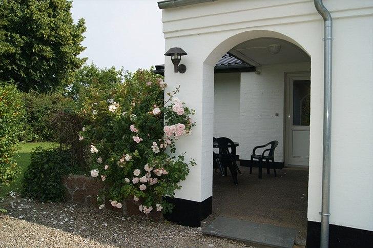 Villa/hushave 1000 kvm - den lille terrasse, med flotte roser  billede 1