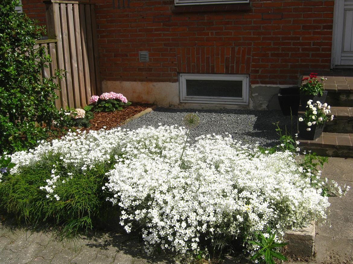 Villa/hushave ca. 25 kvm.  - Forhave nu billede 1