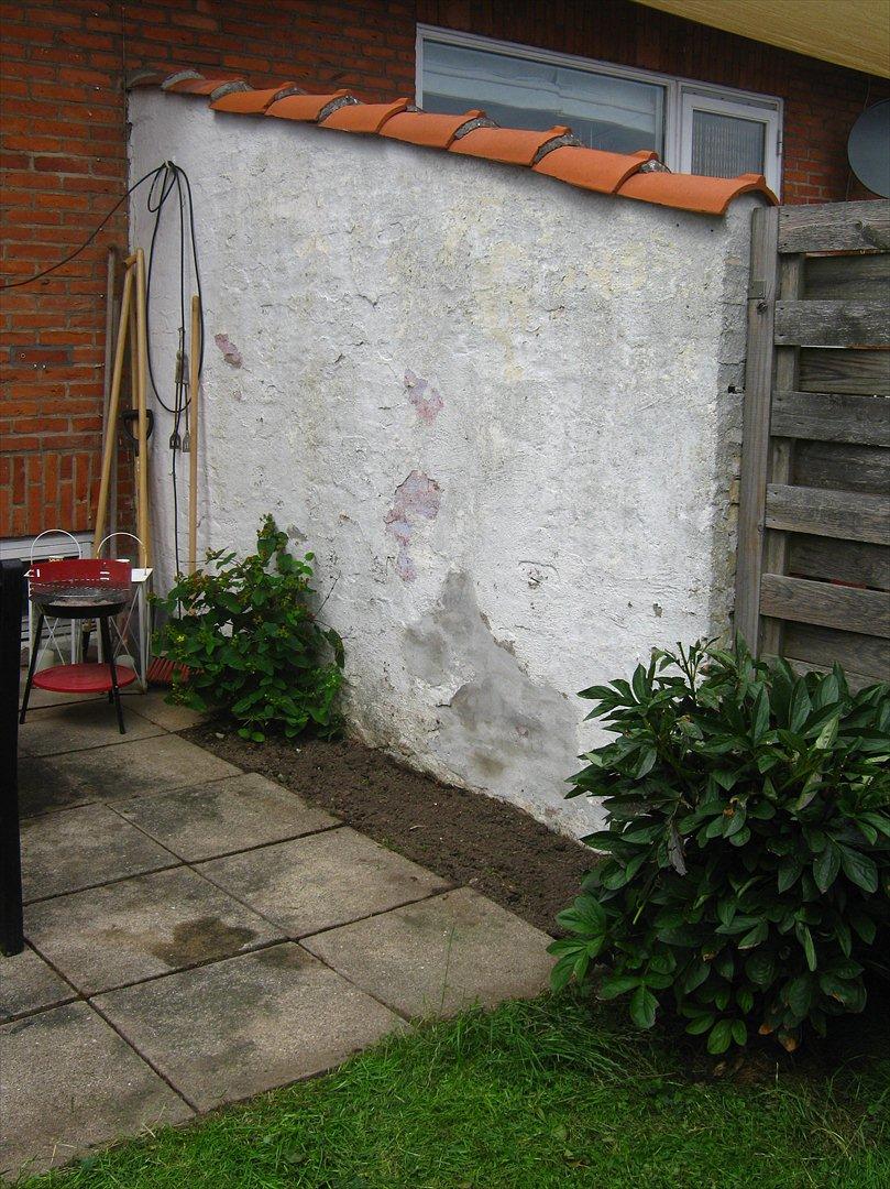 Villa/hushave ca. 25 kvm.  - Væggen biver malet sommeren 2012, og der kommer ny terresse og nyt bed.  billede 6